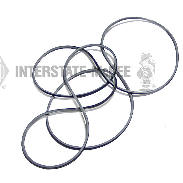 5119973 | Detroit Diesel 71 Seals, New