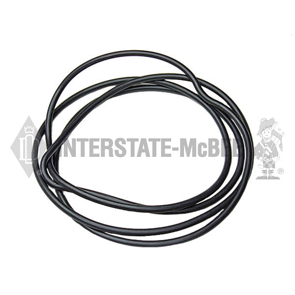 1036045 | Caterpillar 3406B/C Seals, New