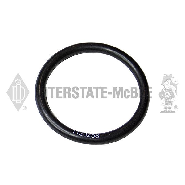 1123258 | Caterpillar 3406B/C Seals, New