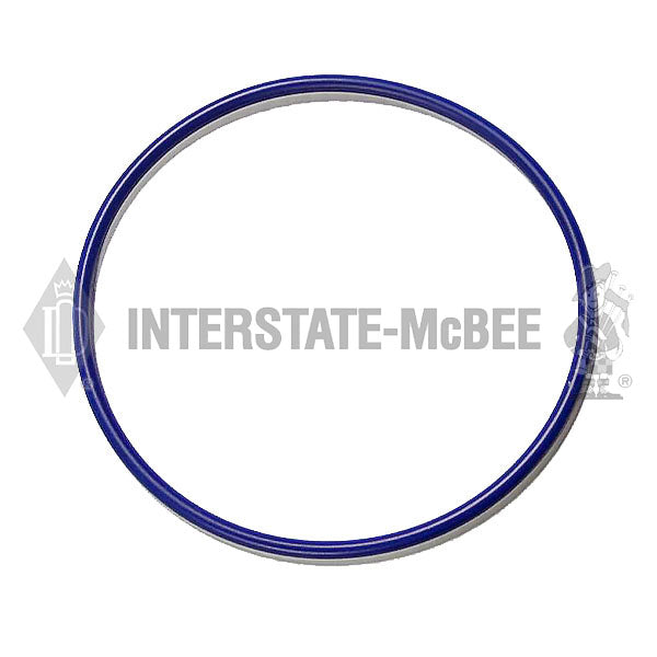 1819250C3 | Navistar DT466 Seals, New