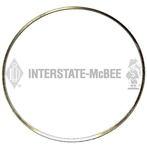 1876111C91 | Navistar MAXX FORCE Seal Kits, New