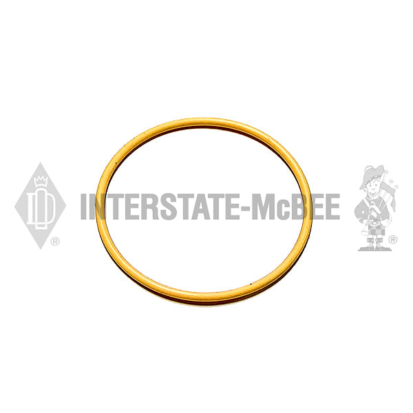 3009739 | Cummins Seals, New
