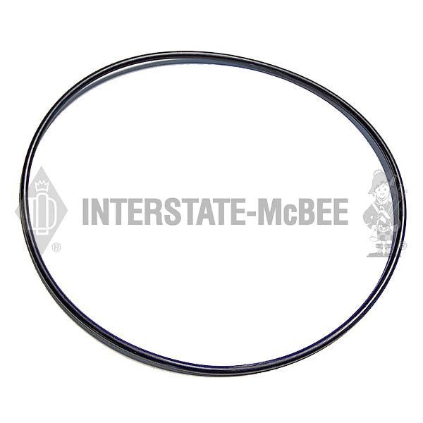 3820791 | Cummins L10/M11/ISM/QSM Seals, New