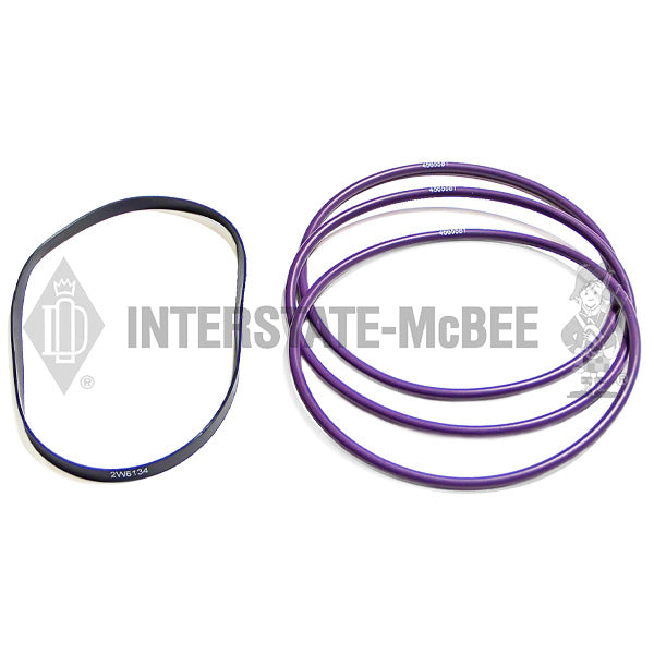 3931024 | Caterpillar 3304/3306 Liner Seal Gasket Set, New