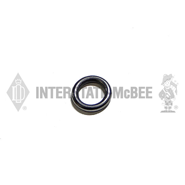 4890929 | Cummins ISB/QSB Seals, New