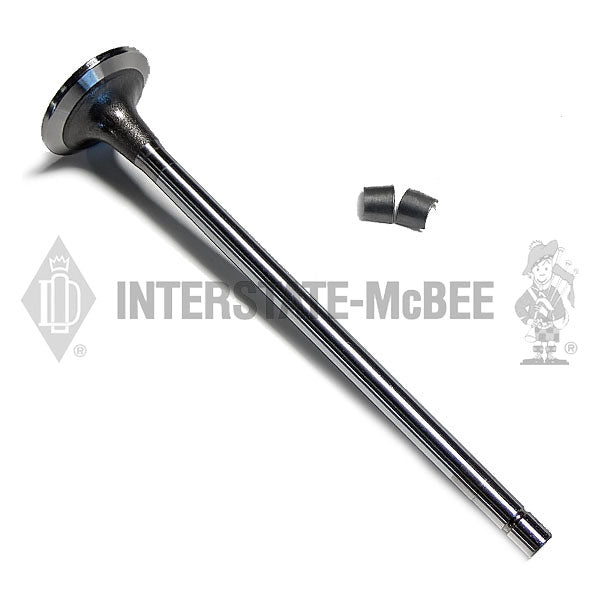 4955239 | Cummins L10/M11/ISM/QSM Intake Valves, New