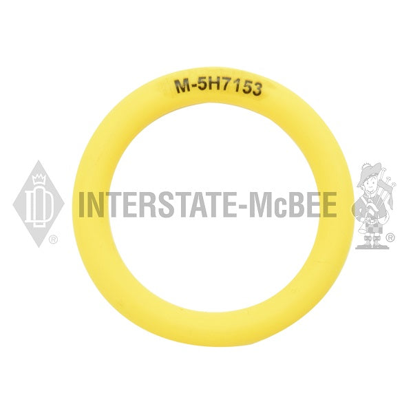 5H7153 | Caterpillar 3406B/C Seals, New