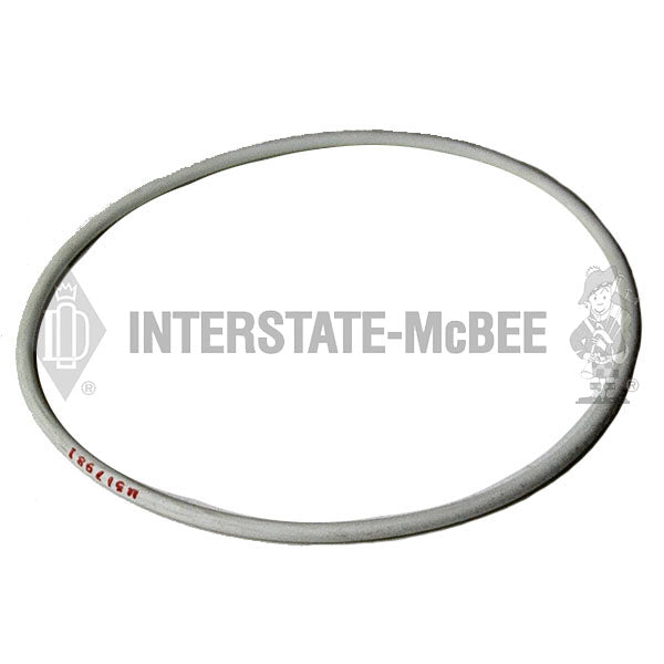5I7981 | Caterpillar 3064/3066 Seals, New