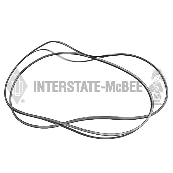 5116293 | Detroit Diesel 53 Seals, New