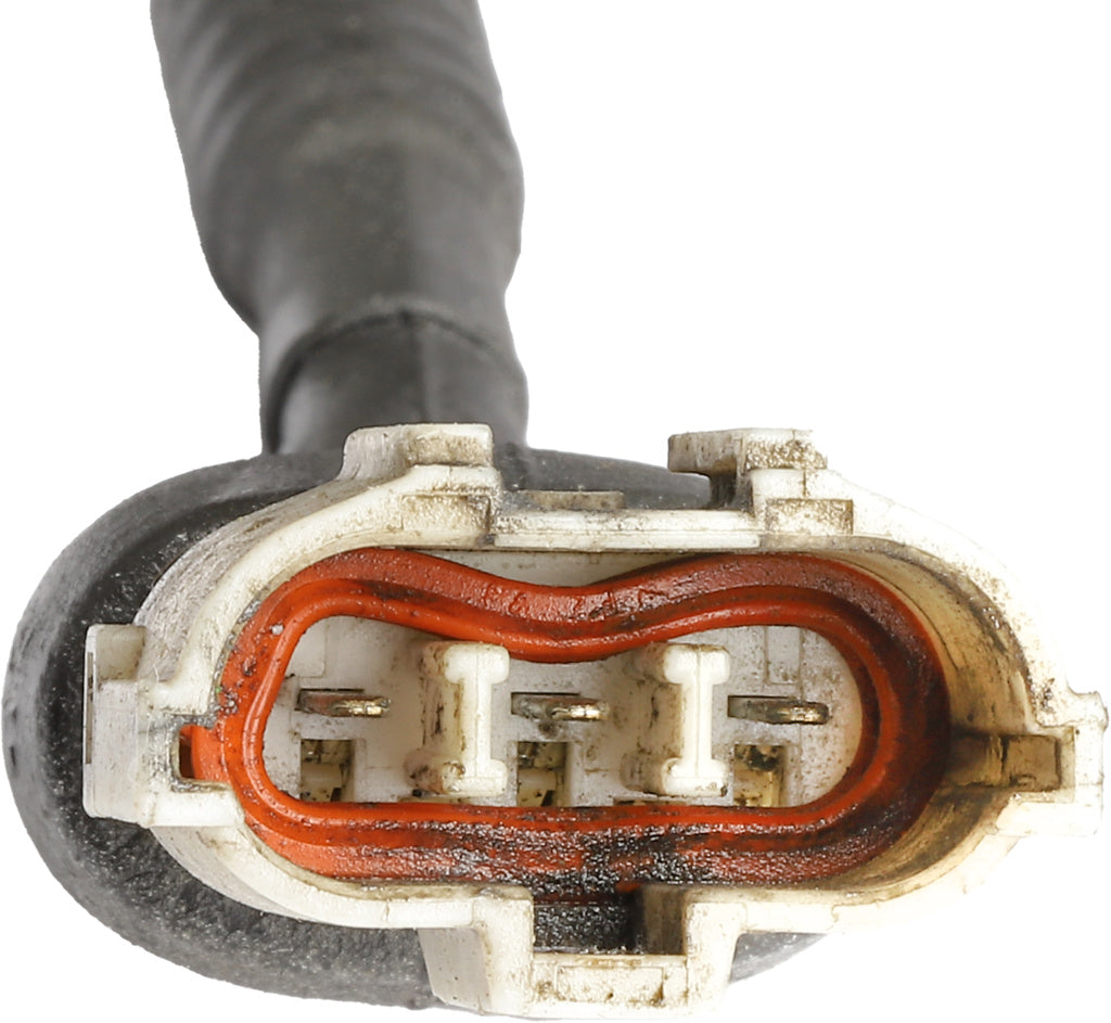 ゆゆ M Honeys トップス スウェット 長袖 男女兼用 ユニセックス ハニ